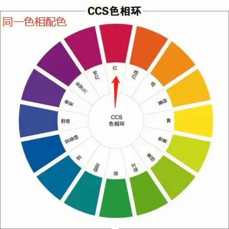 一等色最新动态，揭秘色彩世界的基石与前沿探索