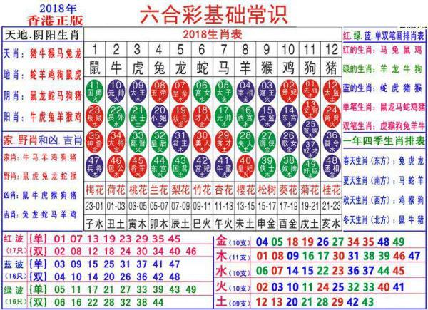 2024年10月 第234页