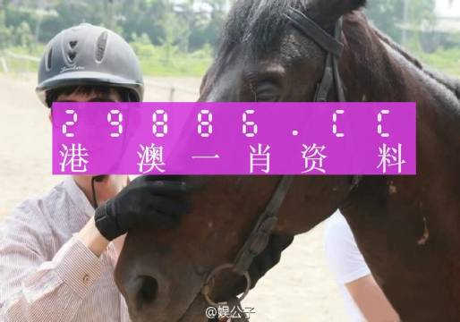 澳门一肖一码一必中一肖，动态词语解释落实_VIP50.71.30