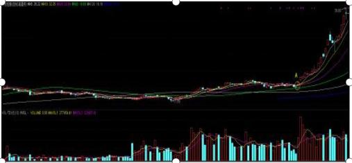 中技控股最新消息