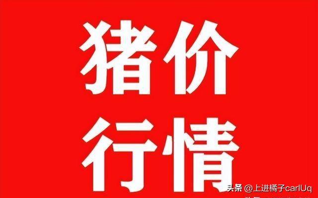 2024天天彩全年免费资料,学说解答解释落实_WP版87.155