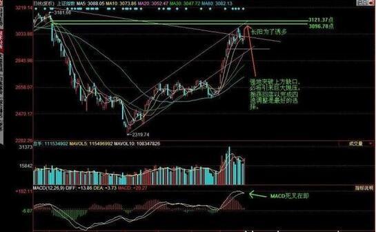 2024年新澳门王中王开奖结果,高度协调策略执行_定制版7.315