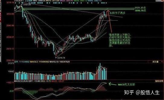 2024澳门天天彩免费大全,高度协调策略执行_特别版2.336