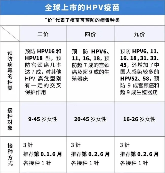 2024澳门六今晚开奖结果是多少,经济性执行方案剖析_标准版90.65.32