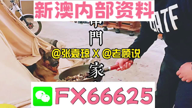 新澳门精准资料大全管家婆料,广泛的关注解释落实热议_游戏版256.183