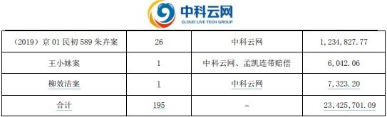 ST云网最新动态，业绩波动、市场展望及战略调整概览