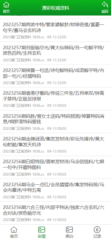 2024新澳门免费资料大全,重要性解释落实方法_升级版9.123