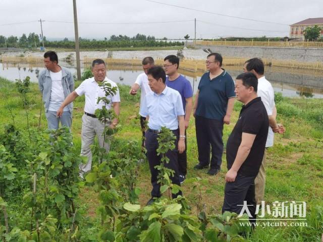 山东林场改革，踏上绿色变革与可持续发展之路