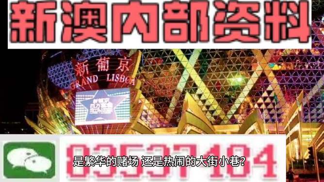 新澳门最精准资料大全,详细数据解释定义_进阶版96.104