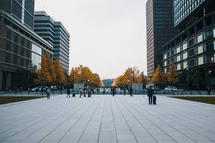 2024新奥免费看的资料,有效解答解释落实_1080p21.616