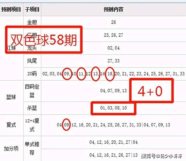 新澳2024今晚开奖结果,综合分析解释定义_Plus39.796