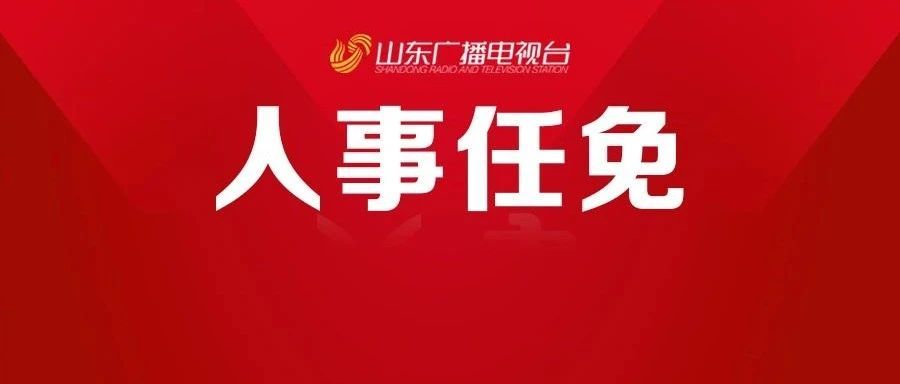 山东省委最新任免及动态深度解析