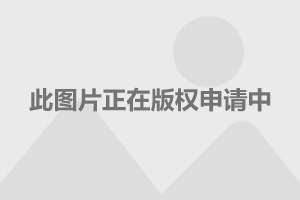 南通禽流感最新消息及全面防控策略解析