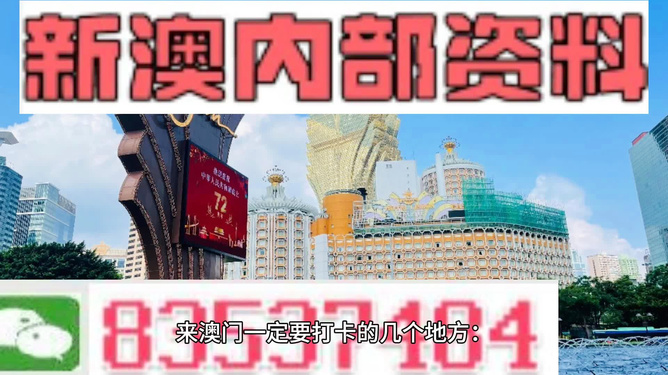 新澳门精准免费资料查看,理性解答解释落实_限定版38.169