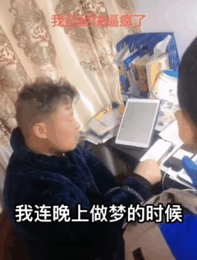 一起作业网最新版，开启高效学习新纪元