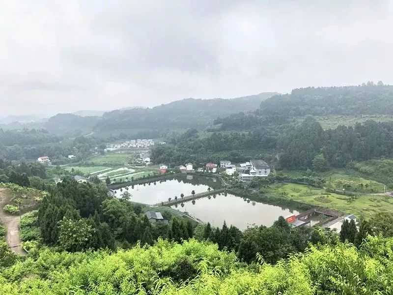 蓬溪鸣凤镇，乡村振兴与交通建设齐头并进