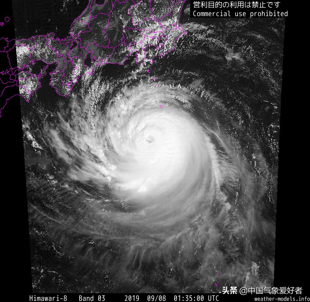 日本东京台风最新动态