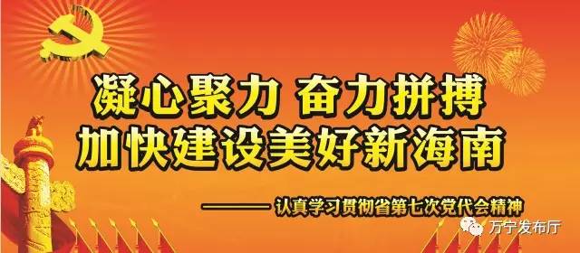 2024年11月14日 第13页