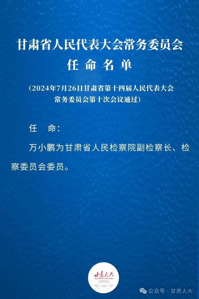 临夏市最新人事任免及动态深度解析