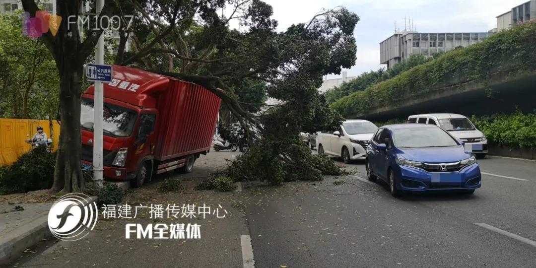 2017年福州车祸事件回顾与分析