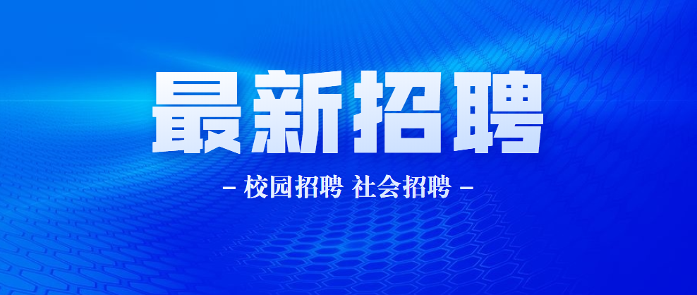 新会南车最新招聘职位全面解读