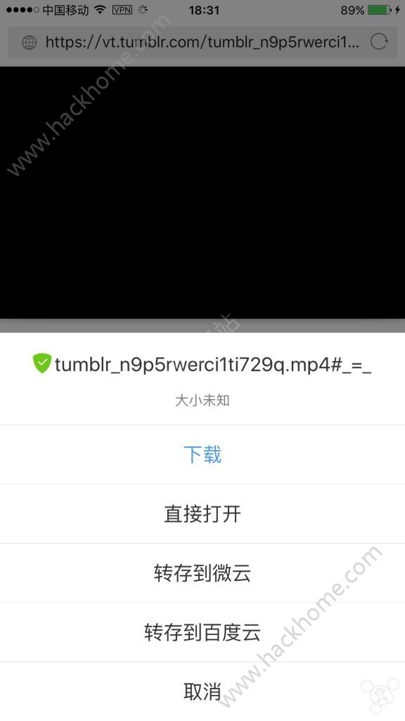 如何安全有效地下载Tumblr内容，详细指南。