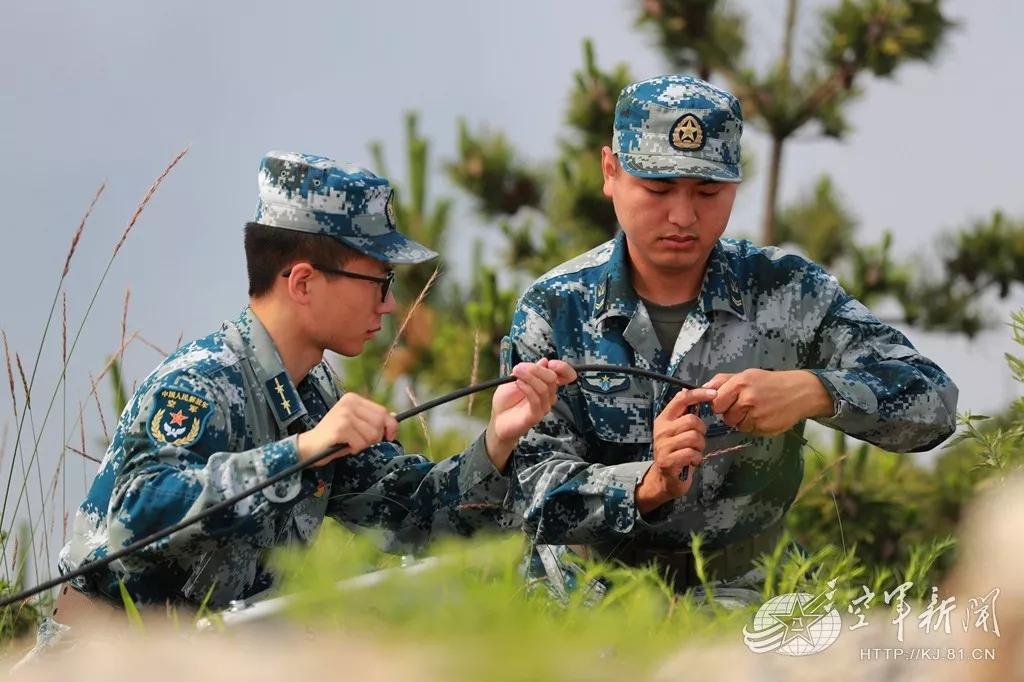 宋世鹏，多领域成就彰显医者仁心