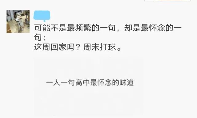 我记得我纯过，在线阅读的纯真年代