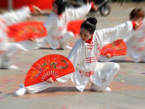 太极扇下载，传统武术与现代科技融合的探索之旅