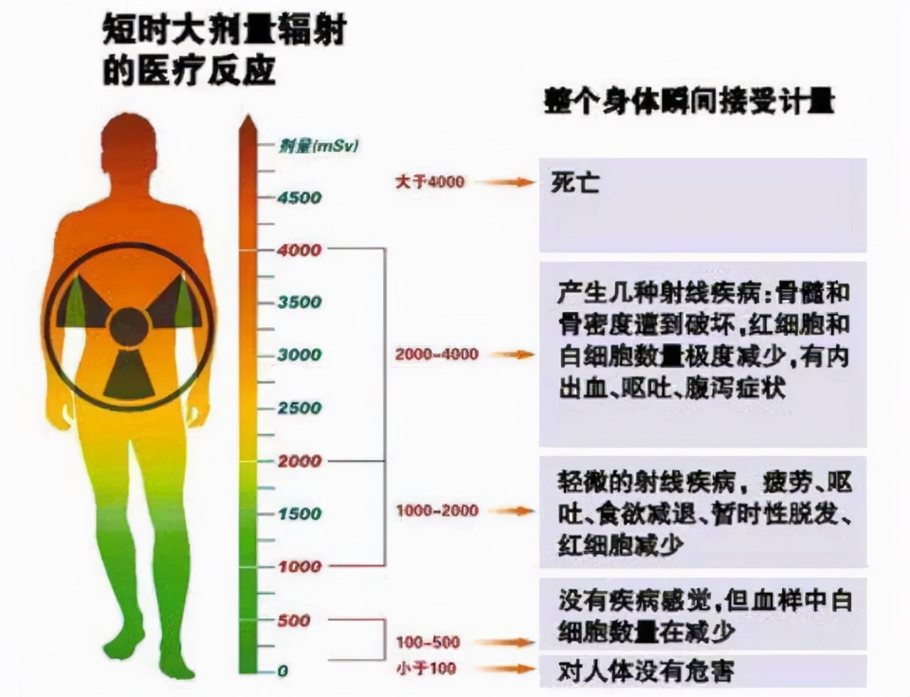 辐射领域最新新闻，行业动态与安全监管进展概览