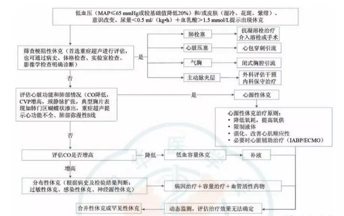 最新休克抢救流程图及详解