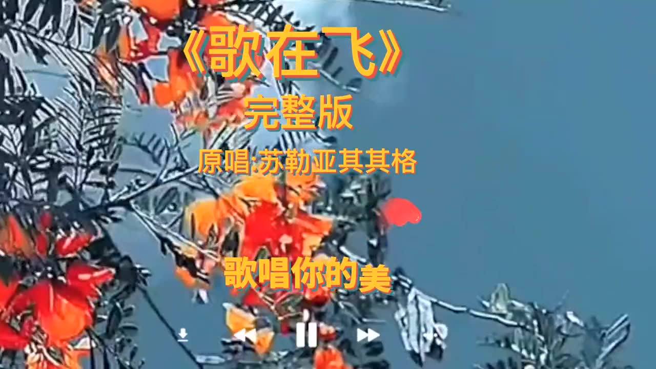 探索并下载歌曲歌在飞，在数字旋律中自由翱翔