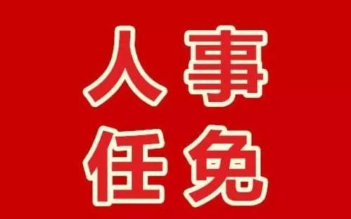 朝阳市最新人事任免动态深度解析