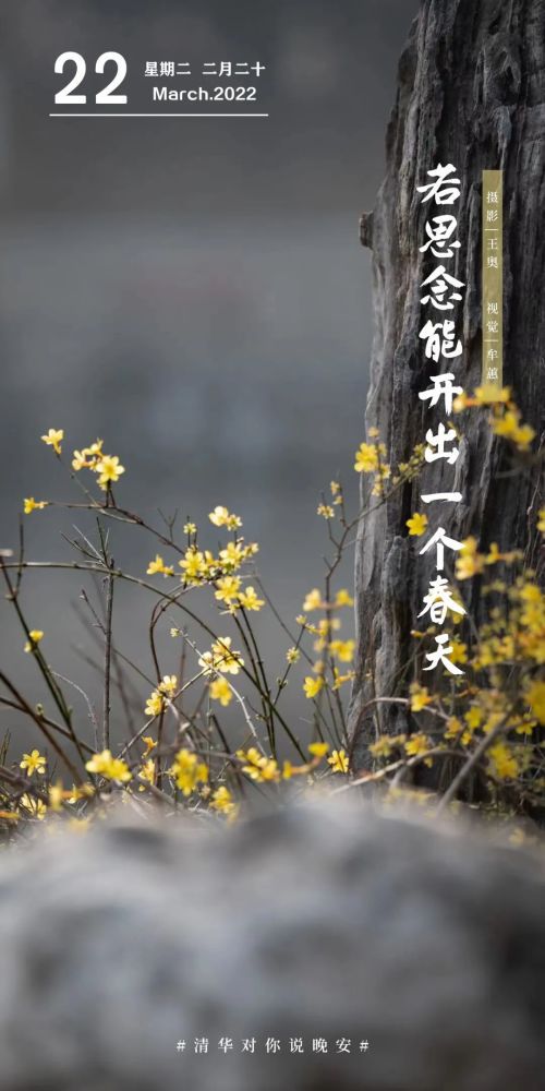 一思不挂番外，深度解析心灵深处的宁静之旅在线阅读