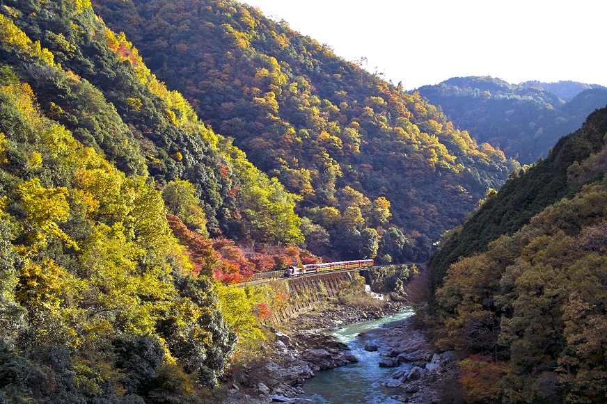 岚川最新视频，游戏世界的欢乐挑战之旅