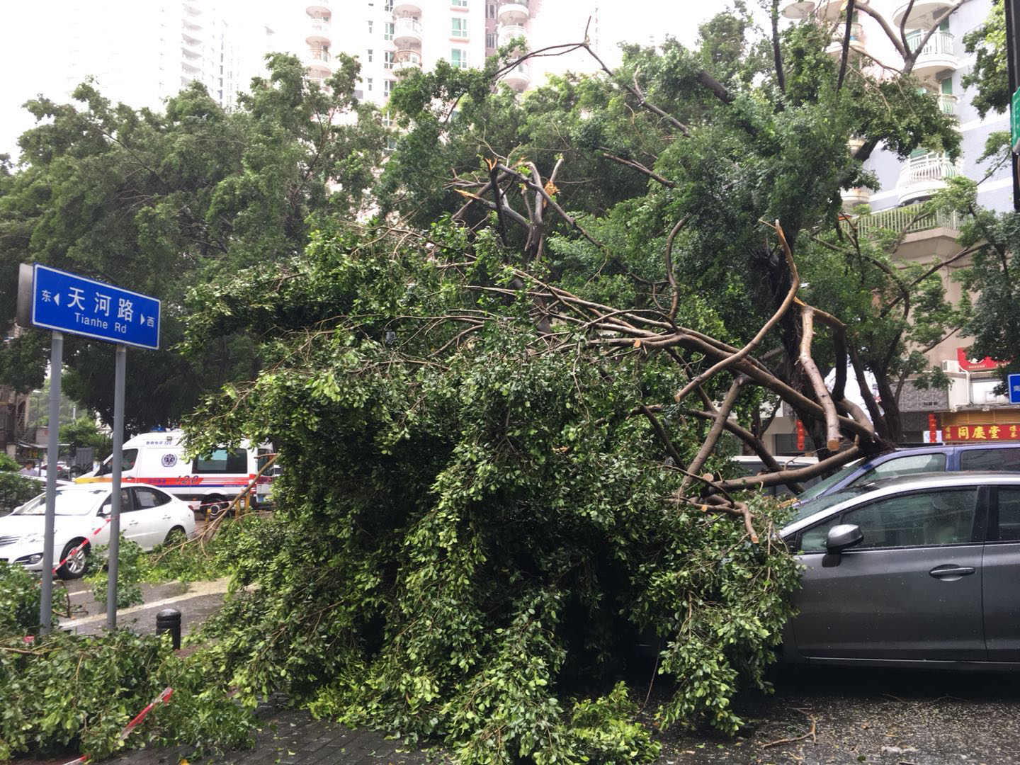 最新台风山竹回顾及其影响深度分析